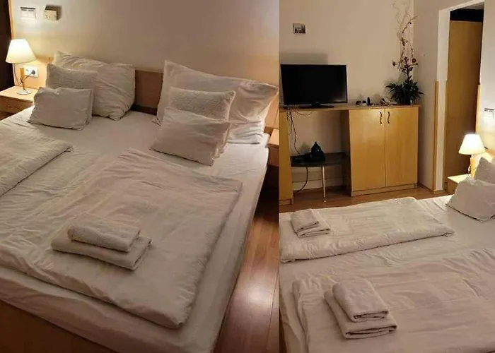 Sunsine זלקרוס